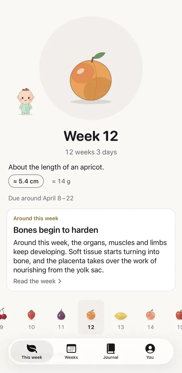 Deno screen: From pregnancy to birth