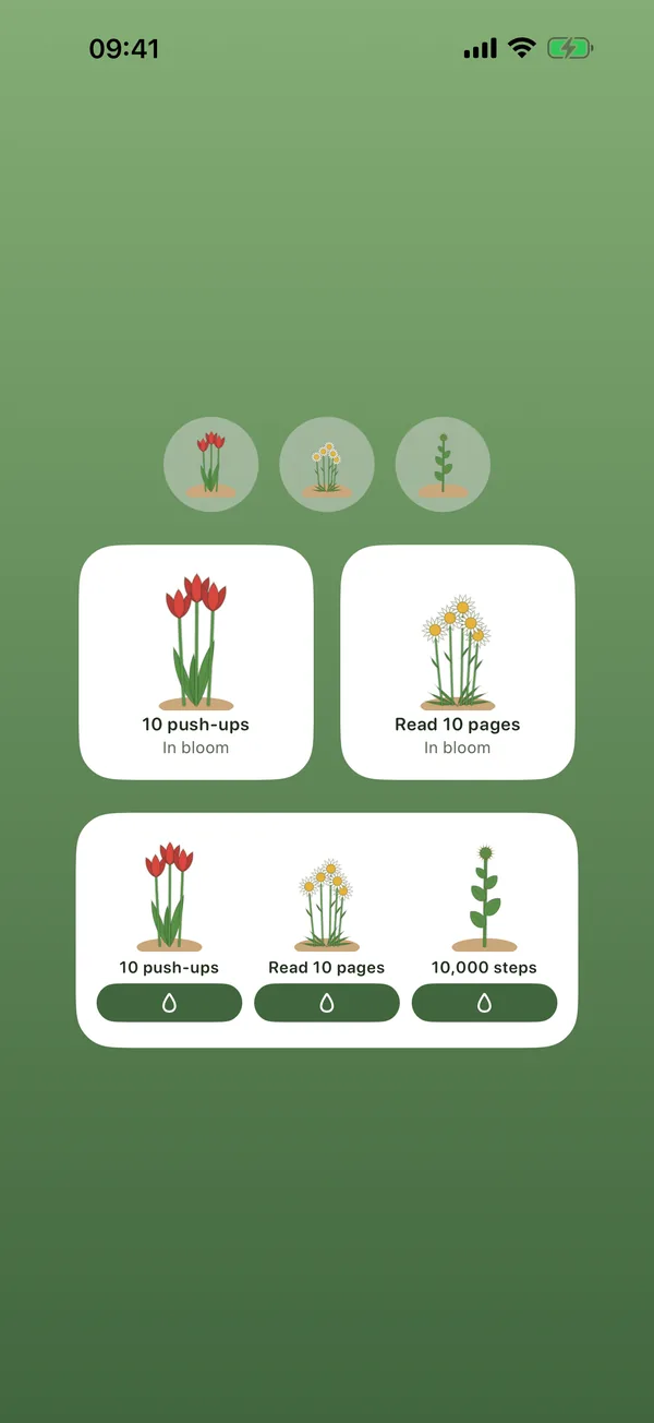 Filiy screen: widgets